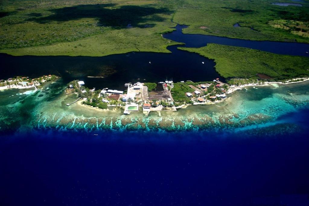 Coral View Beach Resort Utila Dış mekan fotoğraf