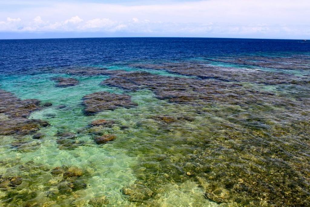 Coral View Beach Resort Utila Dış mekan fotoğraf